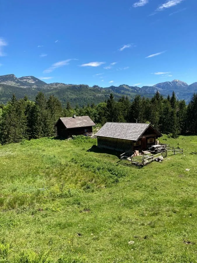 Haus Haslach Elsbethen