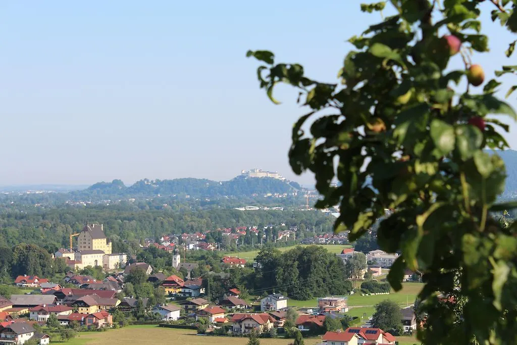 Haus Haslach Elsbethen Appartement